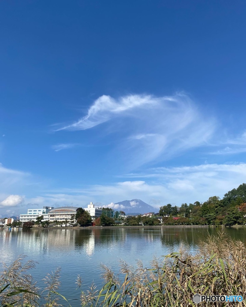紅葉と高松の池