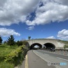 トンネルの見える道路