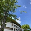 タカヤアリーナ