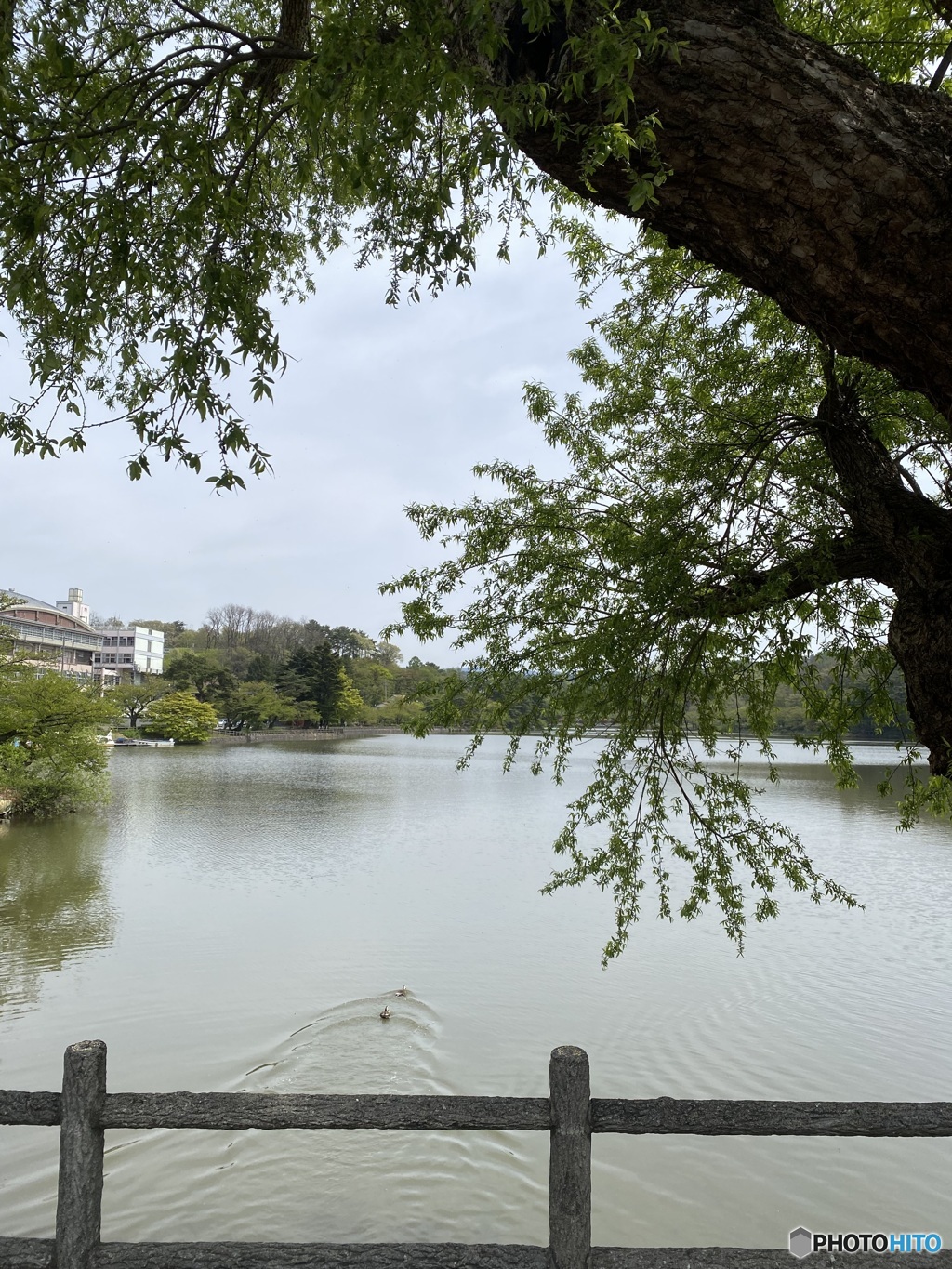 高松の池