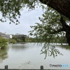 高松の池