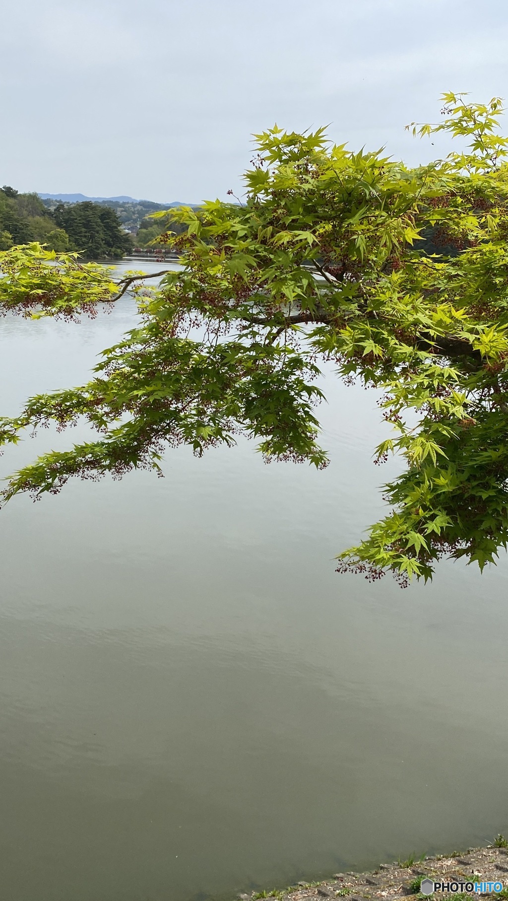 高松の池