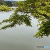 高松の池