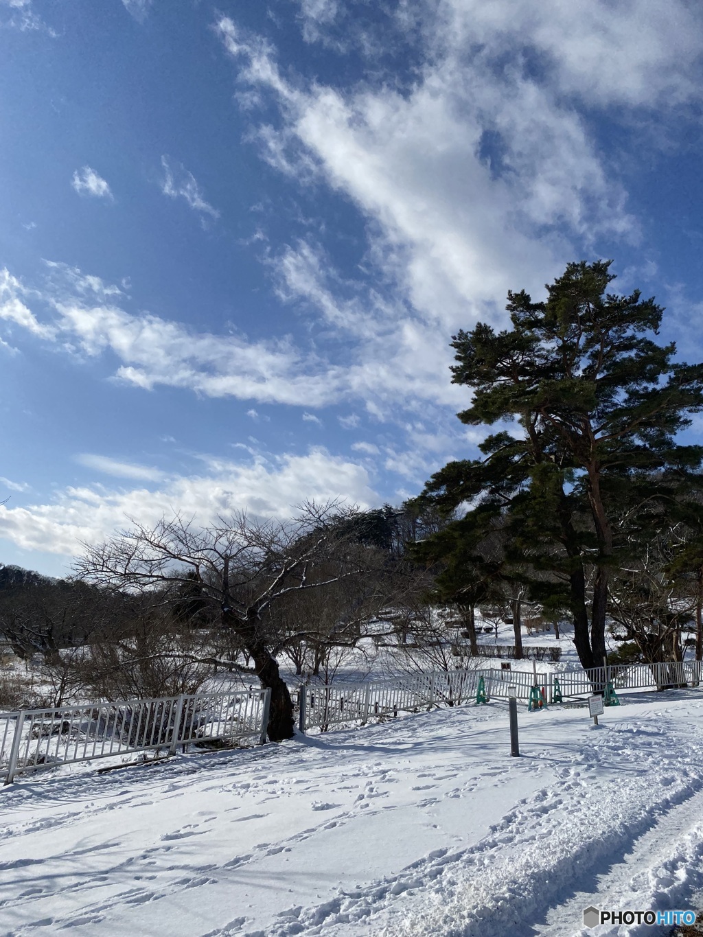 冬の景色