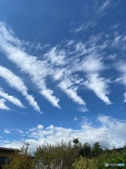 雲は芸術