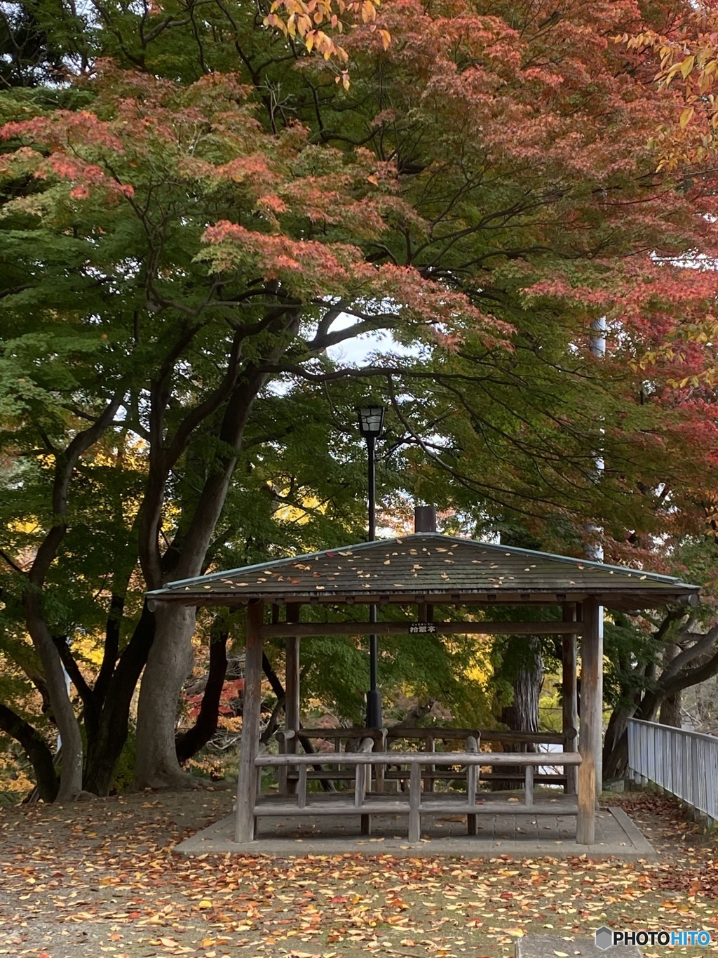 紅葉の東家