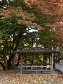 紅葉の東家