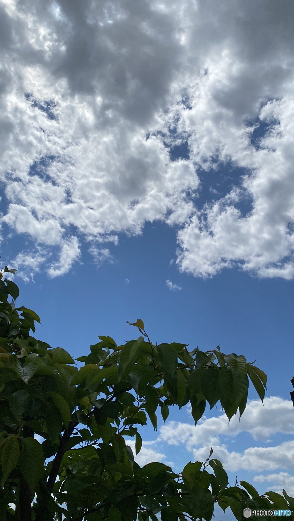 雲が友だち