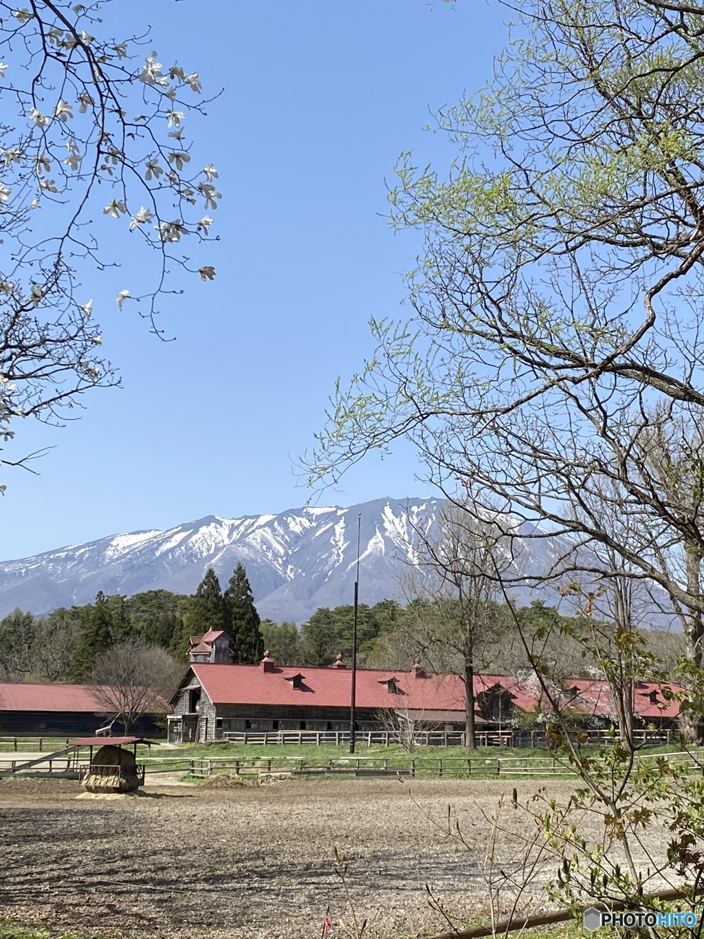 牛舎と岩手山