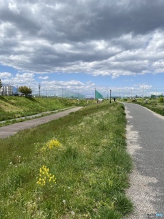 いつもの散歩道