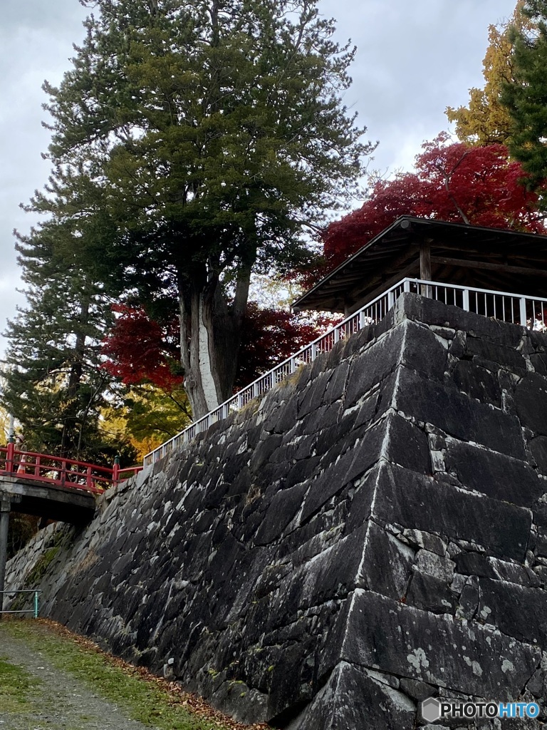紅葉の日に