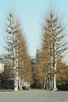 休憩