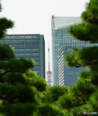 隙間からこんにちは