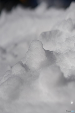 初雪
