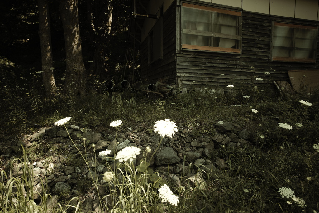 山間の小屋