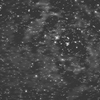 バラ星雲のモノクロ