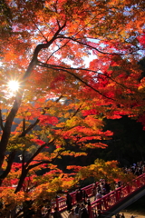 行き交う人とその色と