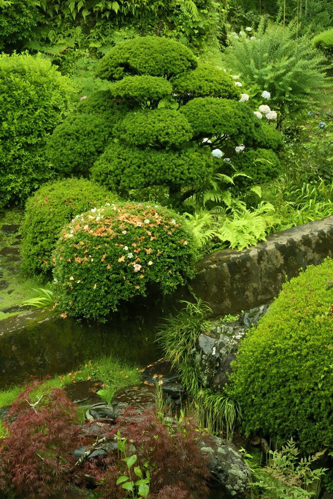 日本のありふれた景色
