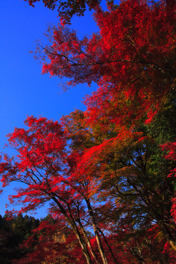 空から迫る次の季節