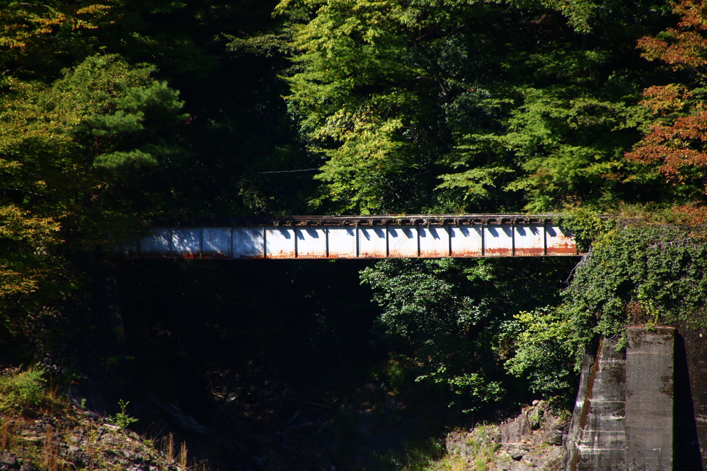 今から過去への架け橋