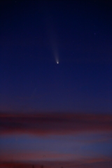 紫金山・アトラス彗星