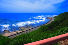 夏到来