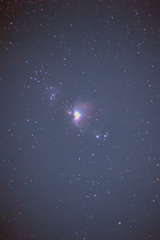 オリオン大星雲2025