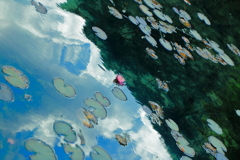 極楽こそ此処に有り
