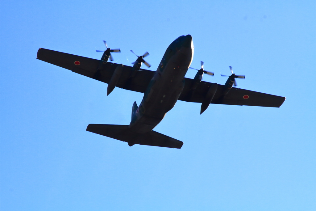 戦術輸送機の懐