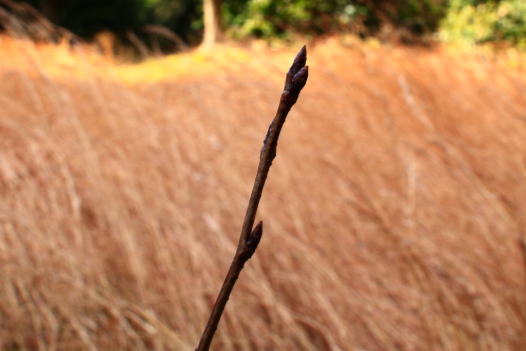 絞りとは？その３