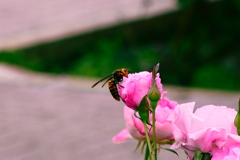 気高き会談