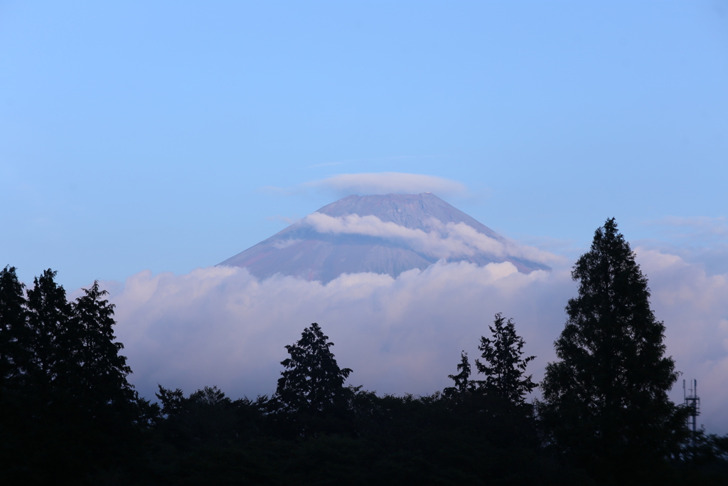 マウントフジ