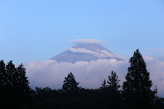 マウントフジ