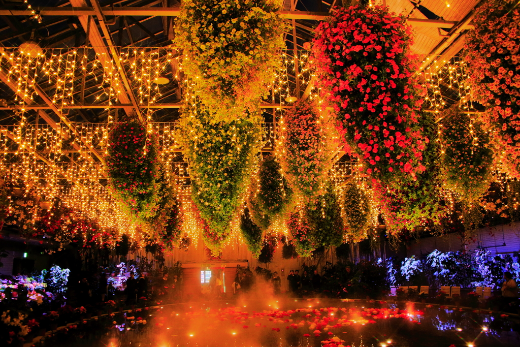 その聖夜の魔法に