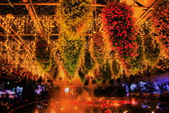 その聖夜の魔法に