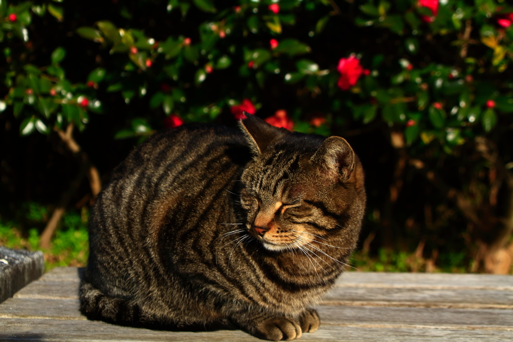 盛り上がってきたぜぇええええーーーー！！！！