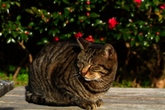 盛り上がってきたぜぇええええーーーー！！！！