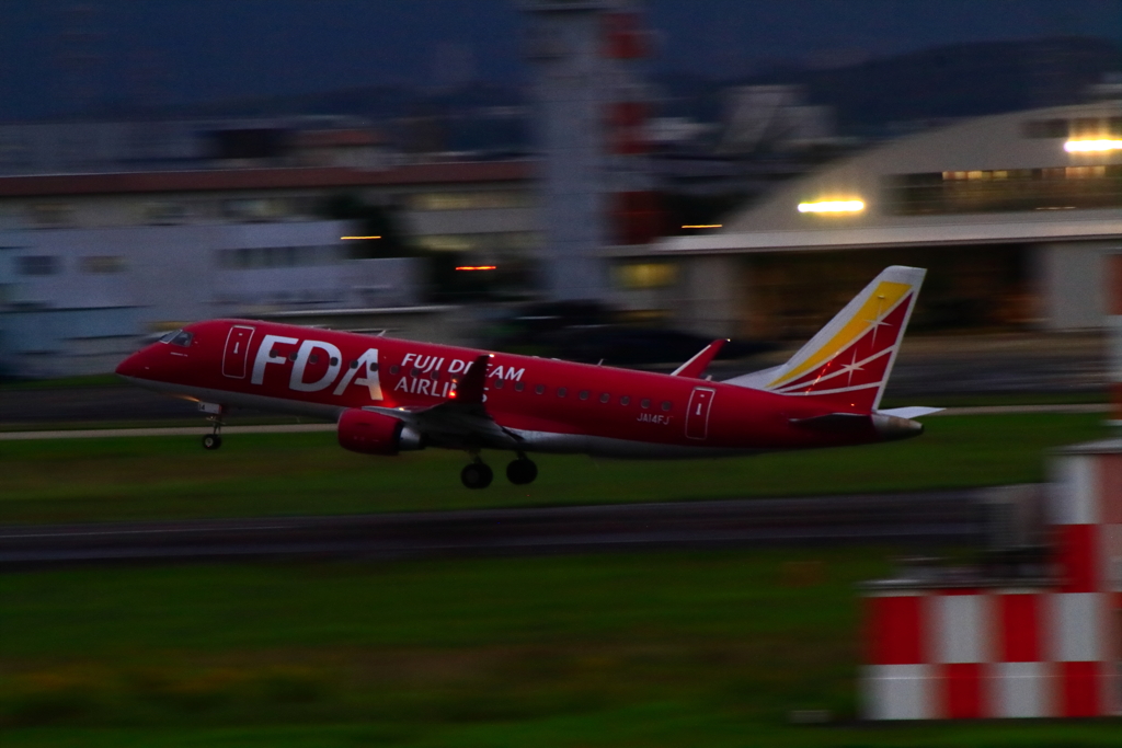 Fire bird