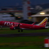 Fire bird