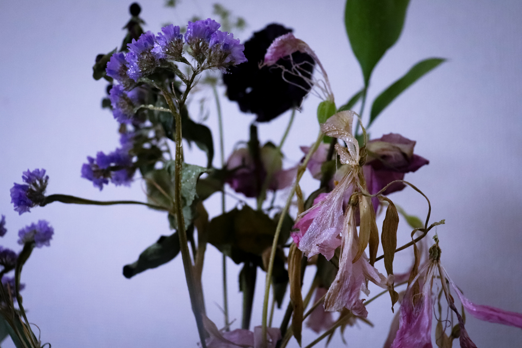 枯れた花