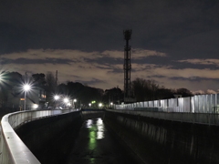 夜の石神井川
