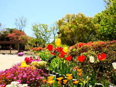 花壇