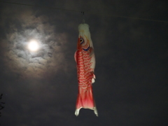 朧月と鯉のぼり