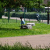 公園の女の子