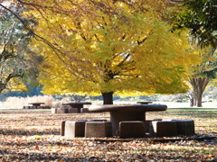 光が丘公園