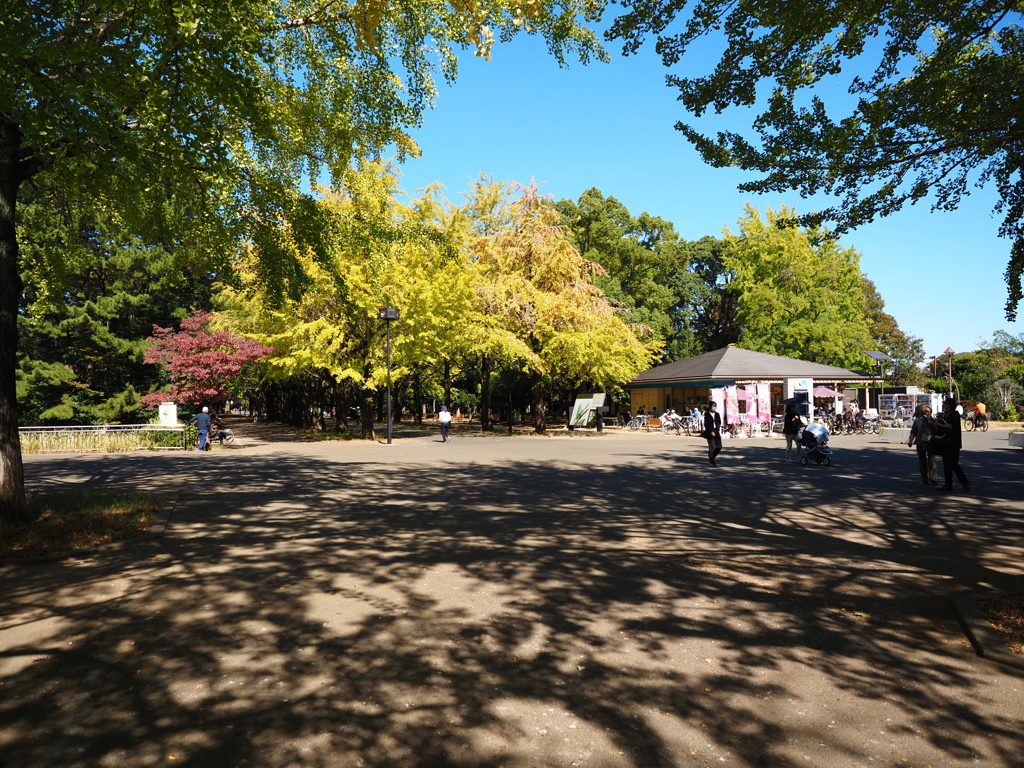 秋の公園