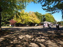 秋の公園