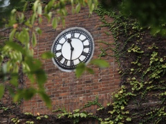 立教大学