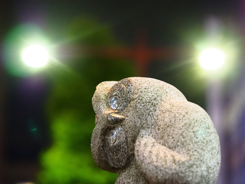 夜のいけふくろう