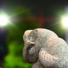 夜のいけふくろう